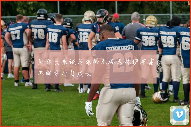 贝尔戈米谈马尔蒂尼观点称伊布需不断学习与成长